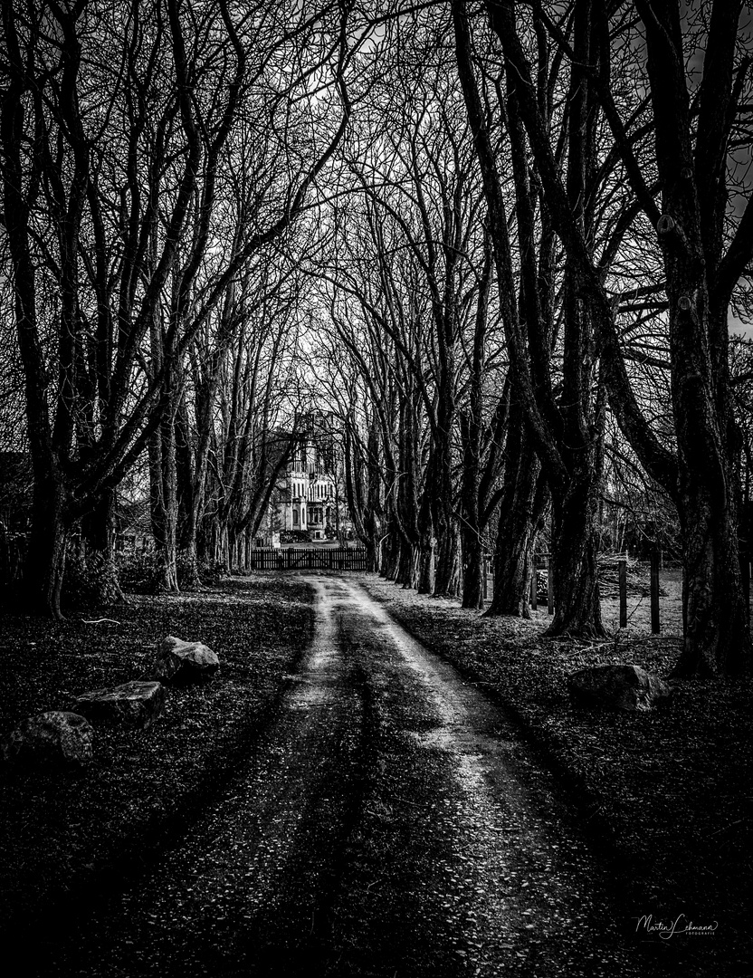 Der Weg zum Schloss