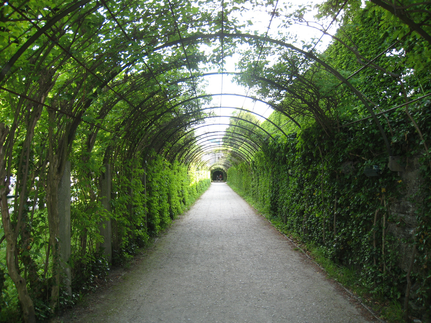 Der Weg zum Schloss