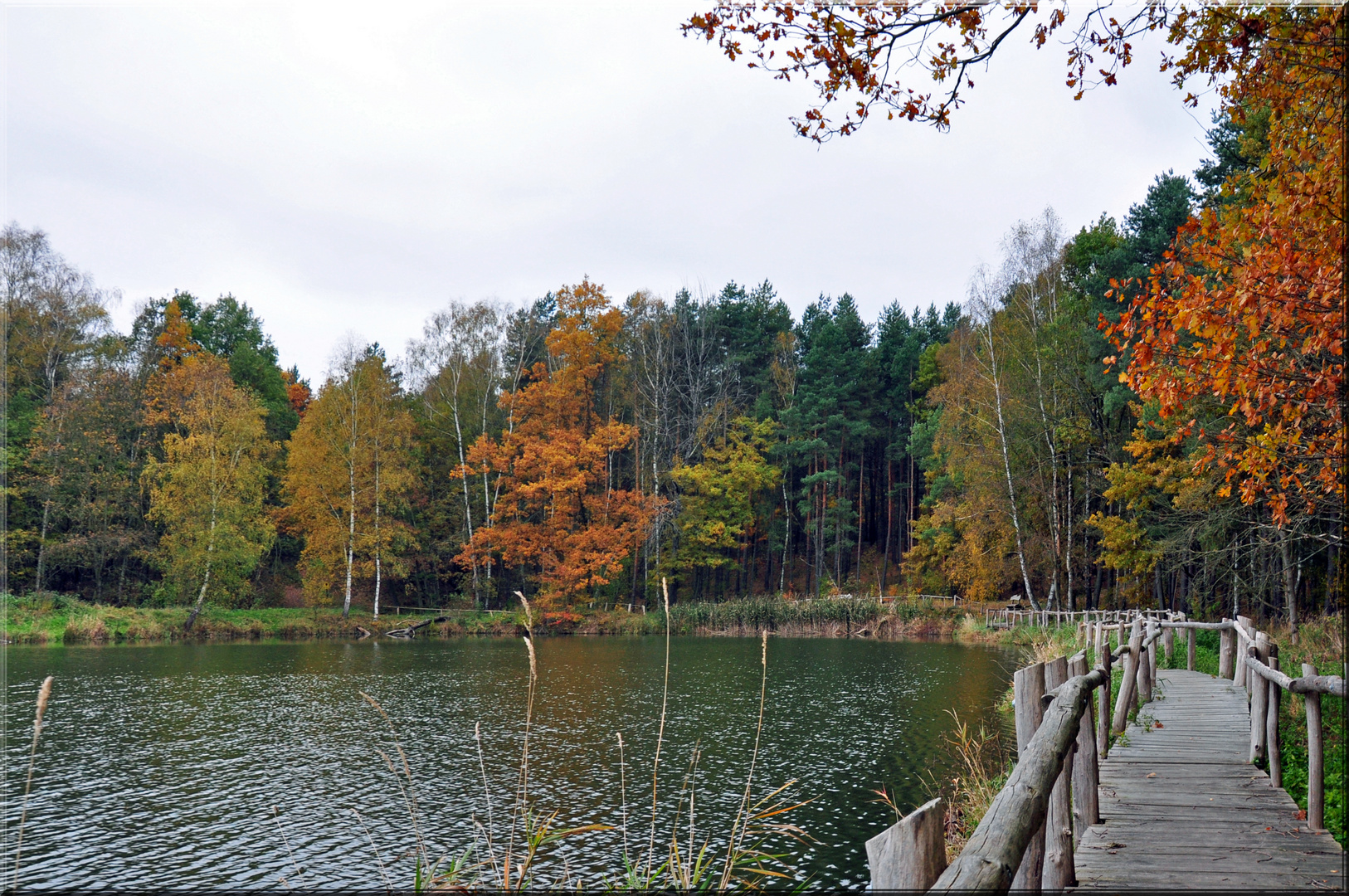 Der Weg zum See