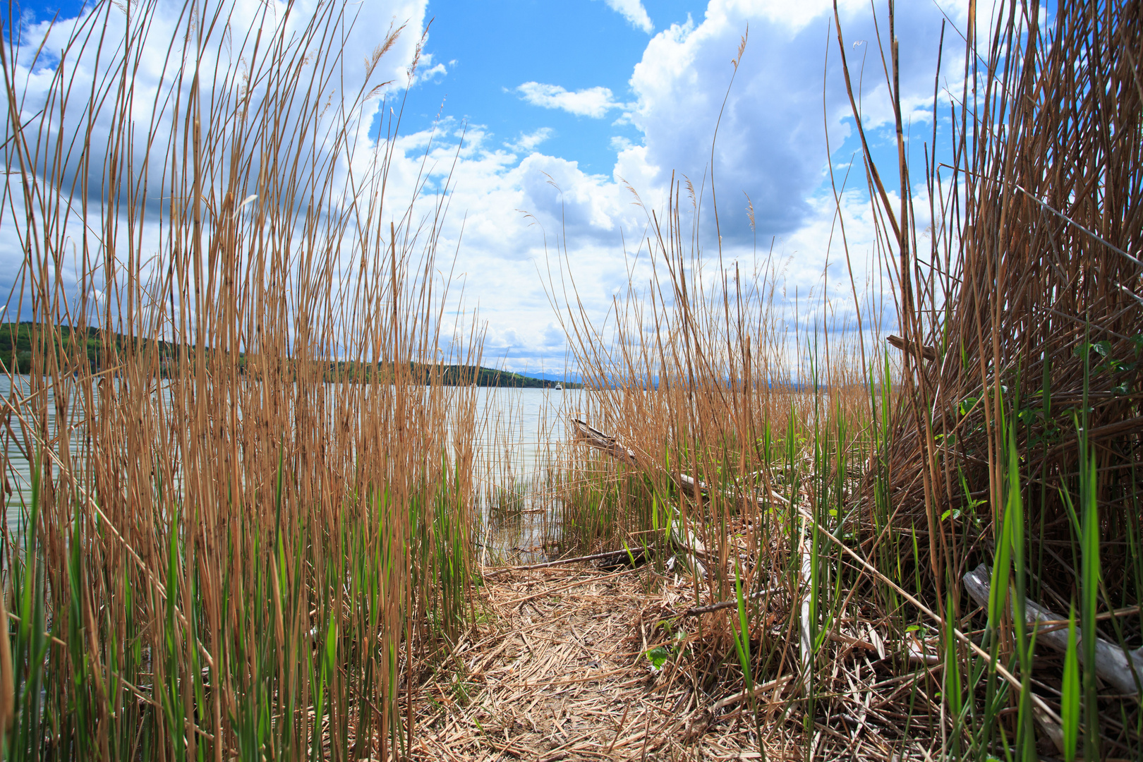 Der Weg zum See