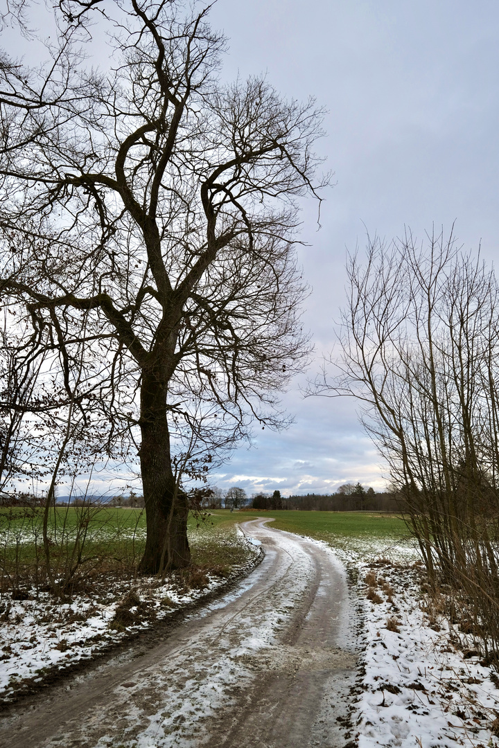 Der Weg zum See