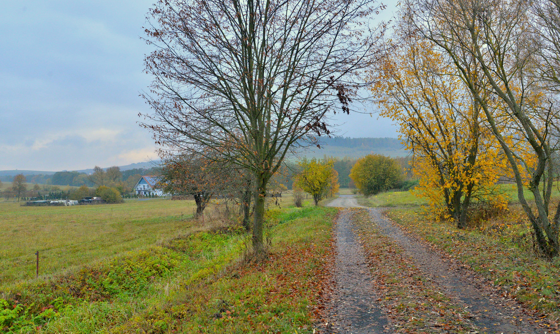 der Weg zum See (el camino al lago)