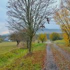 der Weg zum See (el camino al lago)