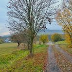 der Weg zum See (el camino al lago)