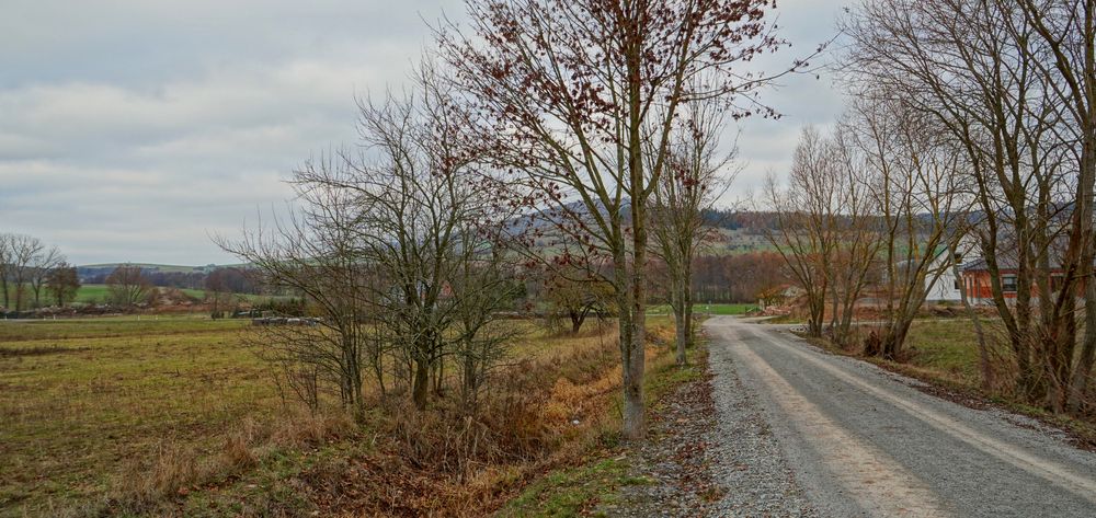 der Weg zum See (el camino al lago)