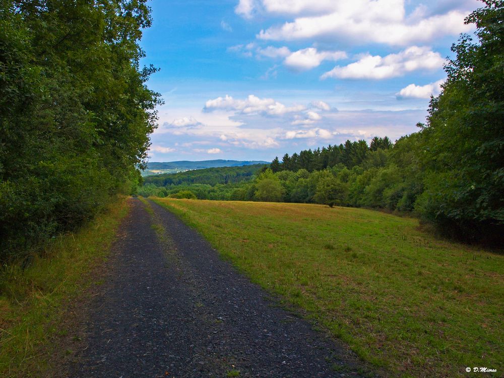 Der Weg zum Spreiberg