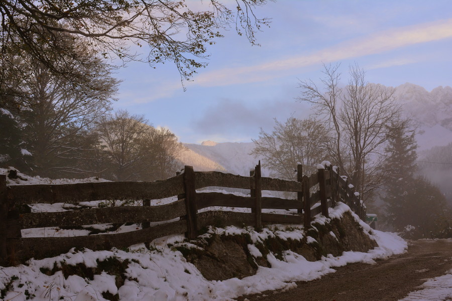 der Weg zum Stall