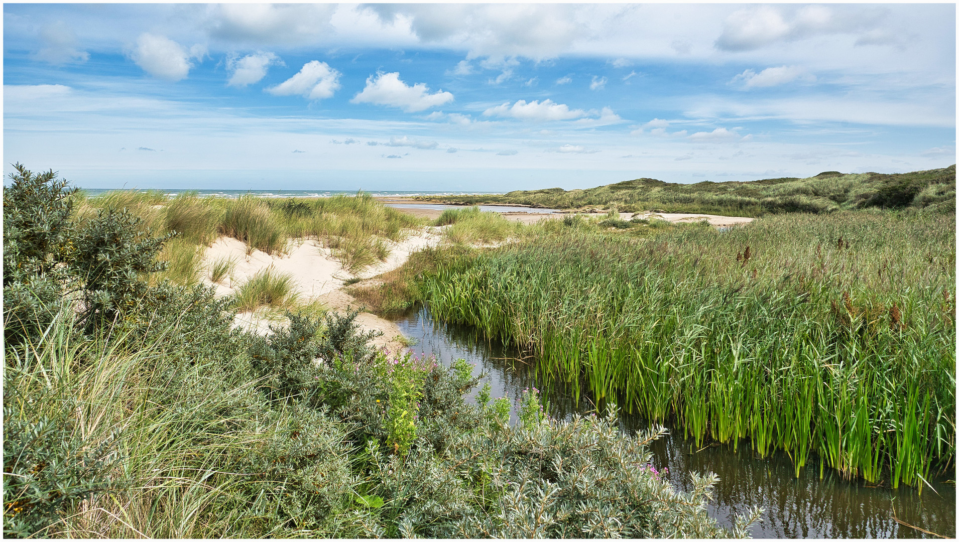 der Weg zum Strand