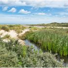 der Weg zum Strand