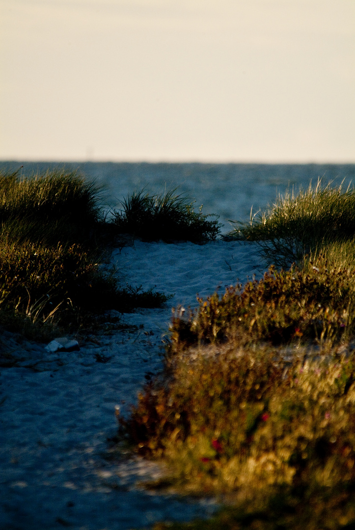 Der Weg zum Strand