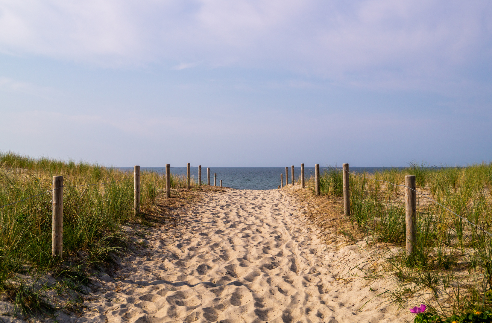 Der Weg zum Strand