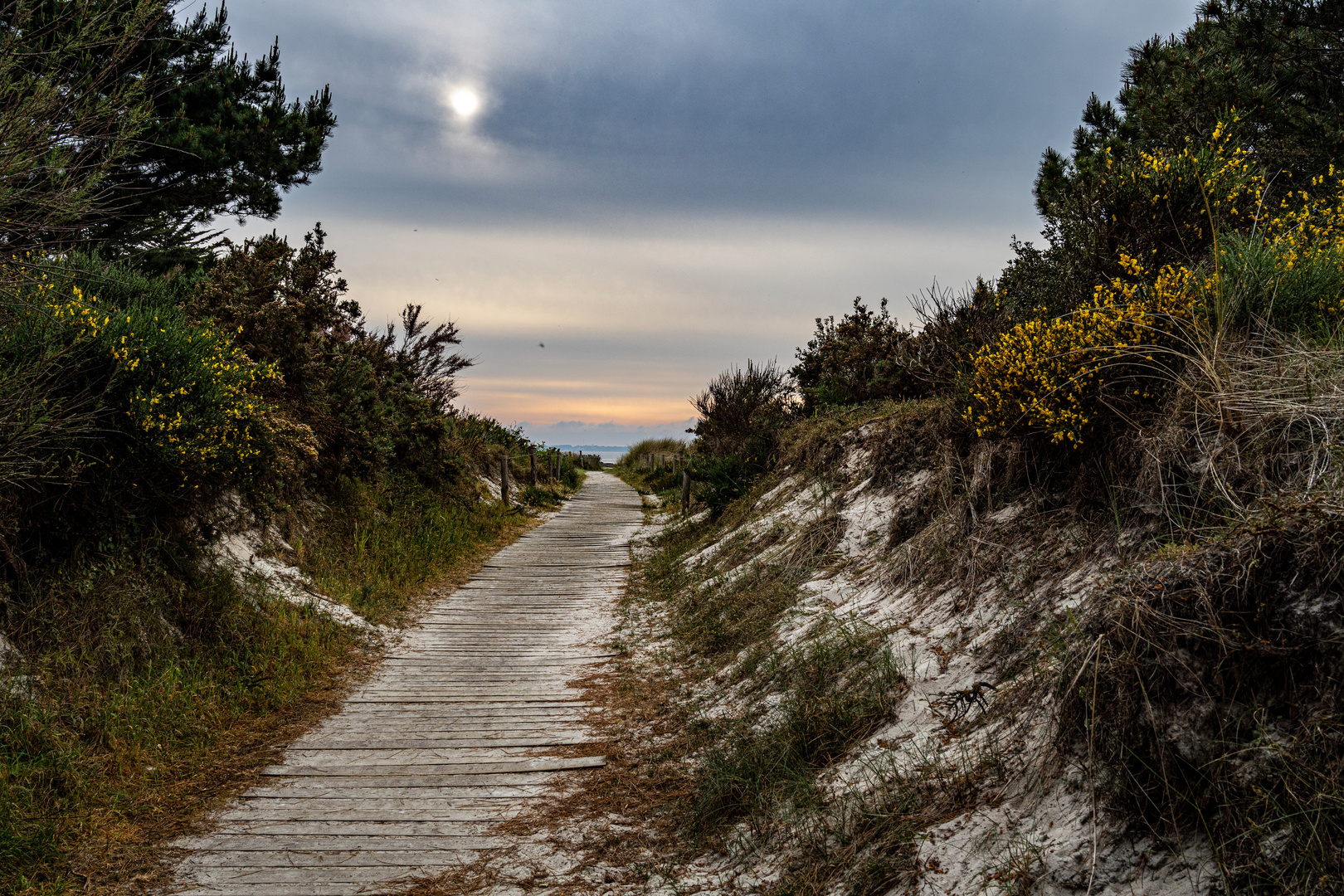 Der Weg zum Strand