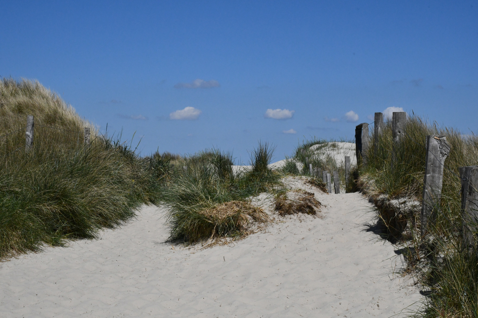 Der Weg zum Strand