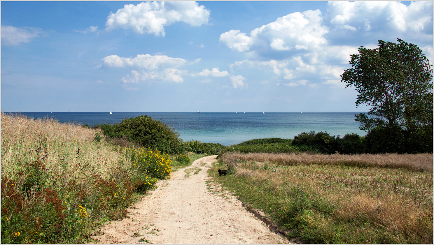 Der Weg zum Strand