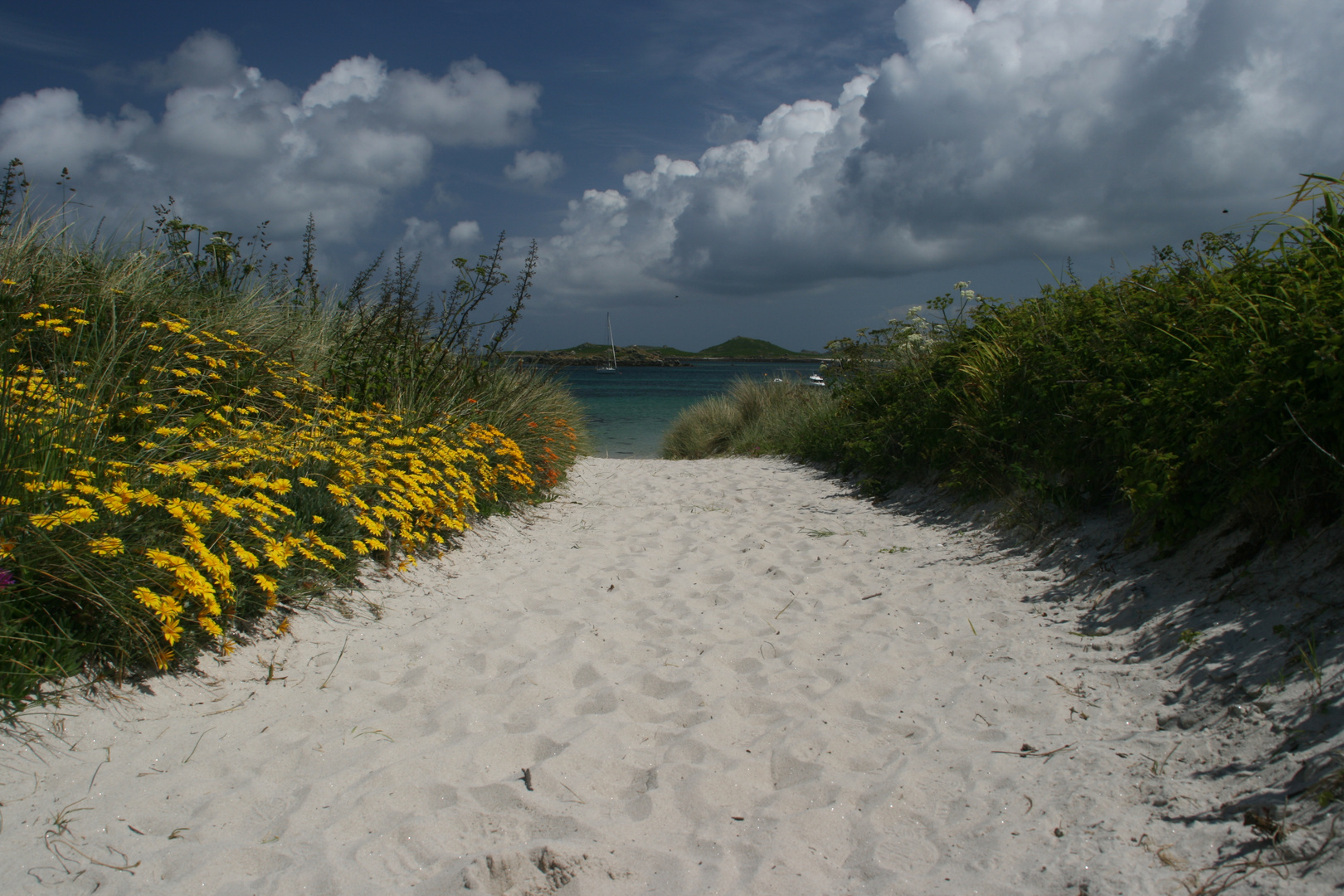 Der Weg zum Strand