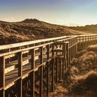 ... der Weg zum Strand