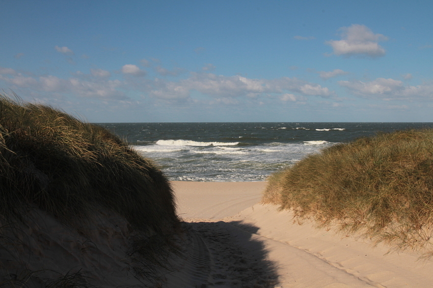 Der Weg zum Strand