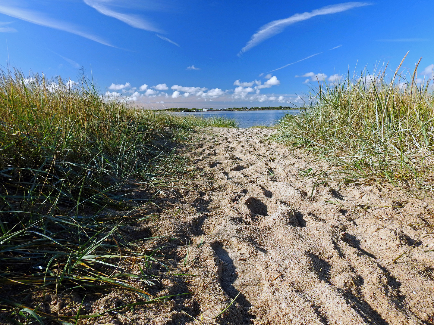 Der Weg zum Strand