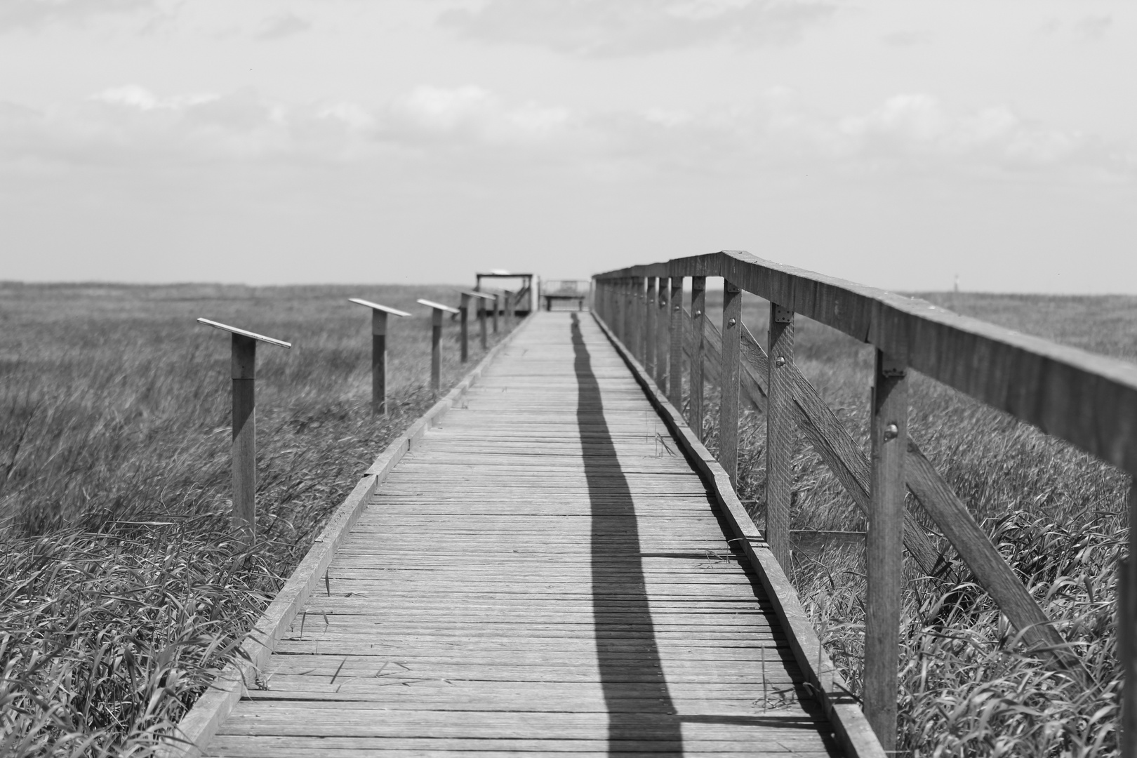 "Der Weg zum Strand"