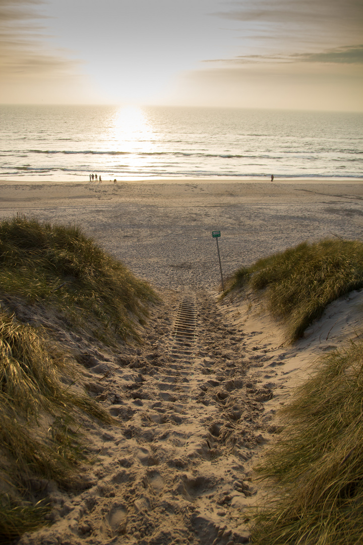 Der Weg zum Strand!