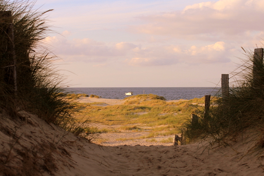 Der Weg zum Strand