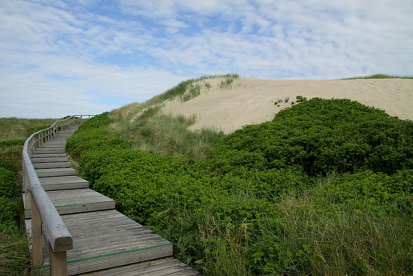 Der Weg zum Strand