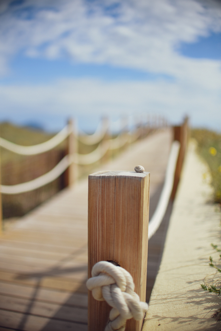 Der Weg zum Strand