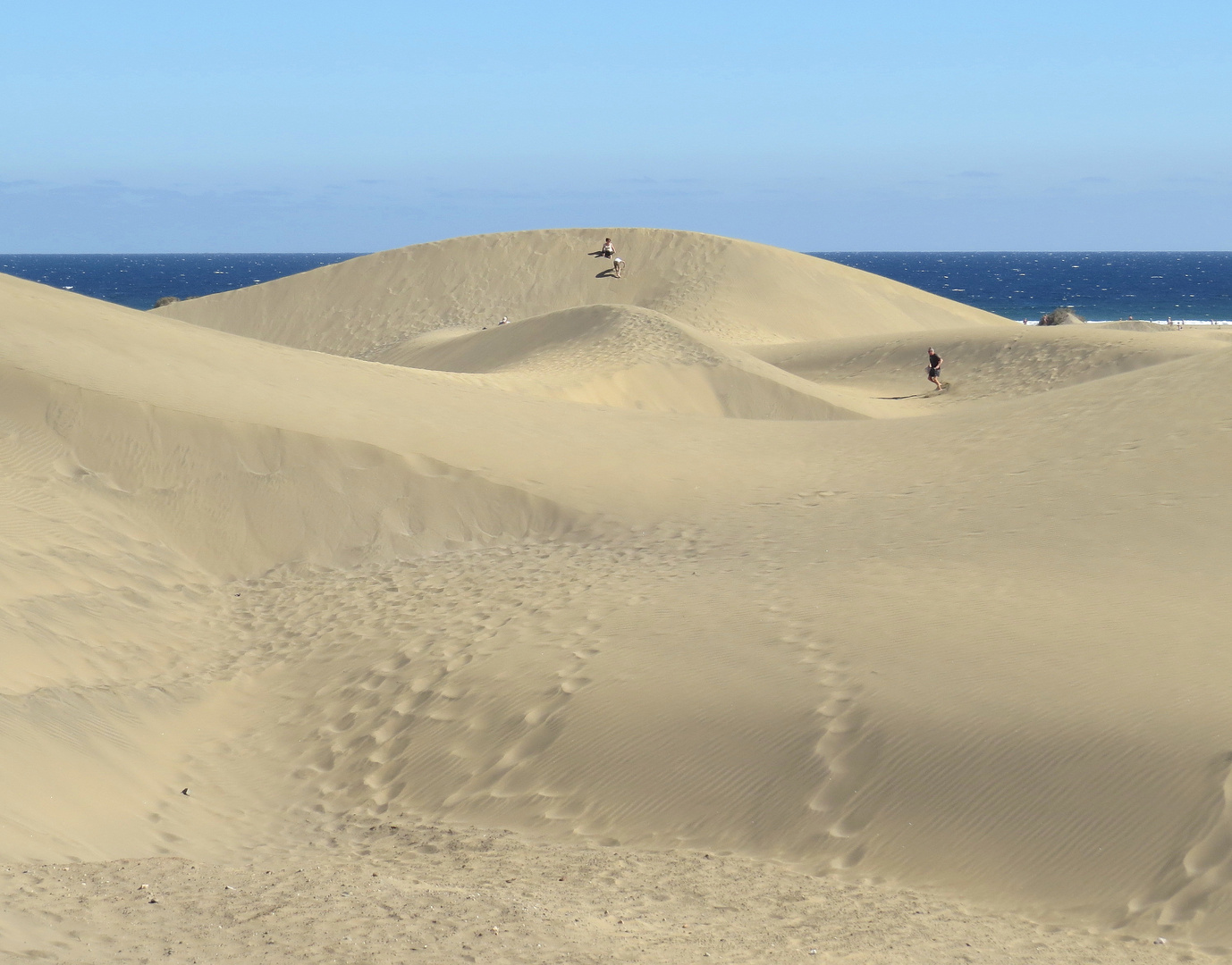 der weg zum strand