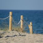 Der Weg zum Strand...