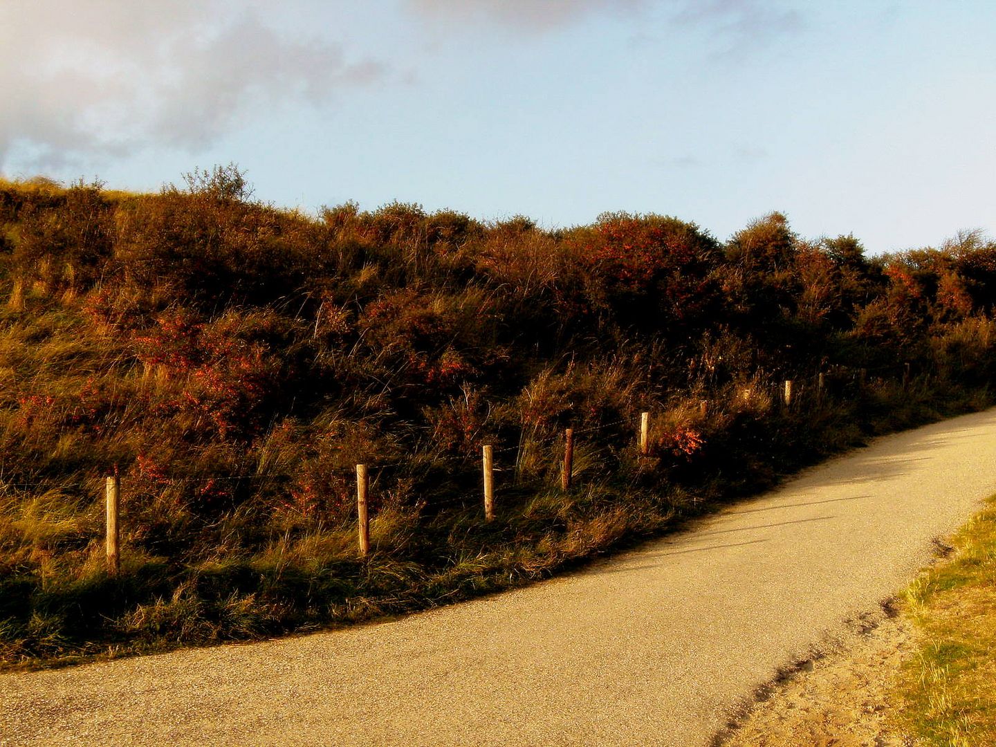 Der Weg zum Strand