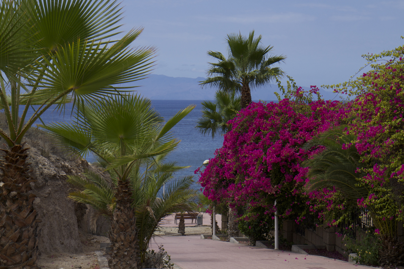 der Weg zum Strand