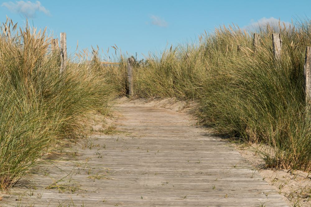 Der Weg zum Strand