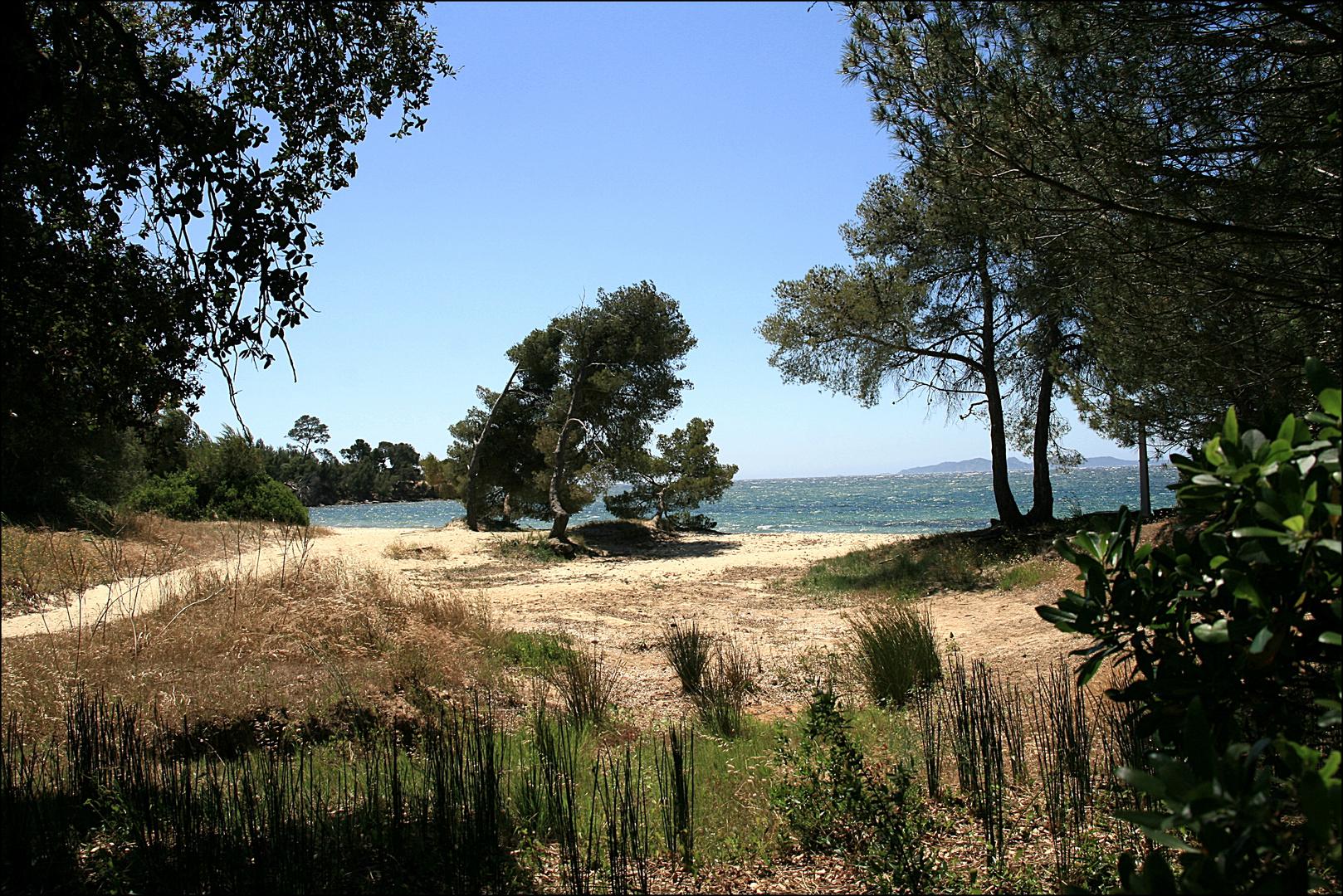 Der Weg zum Strand