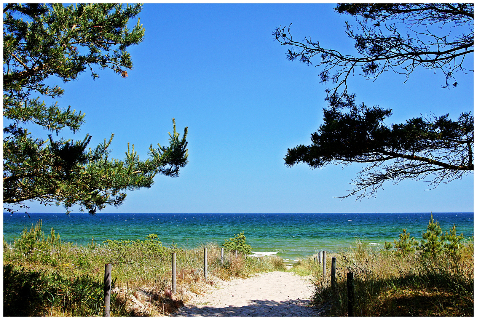 Der Weg zum Strand