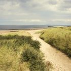 Der Weg zum Strand.