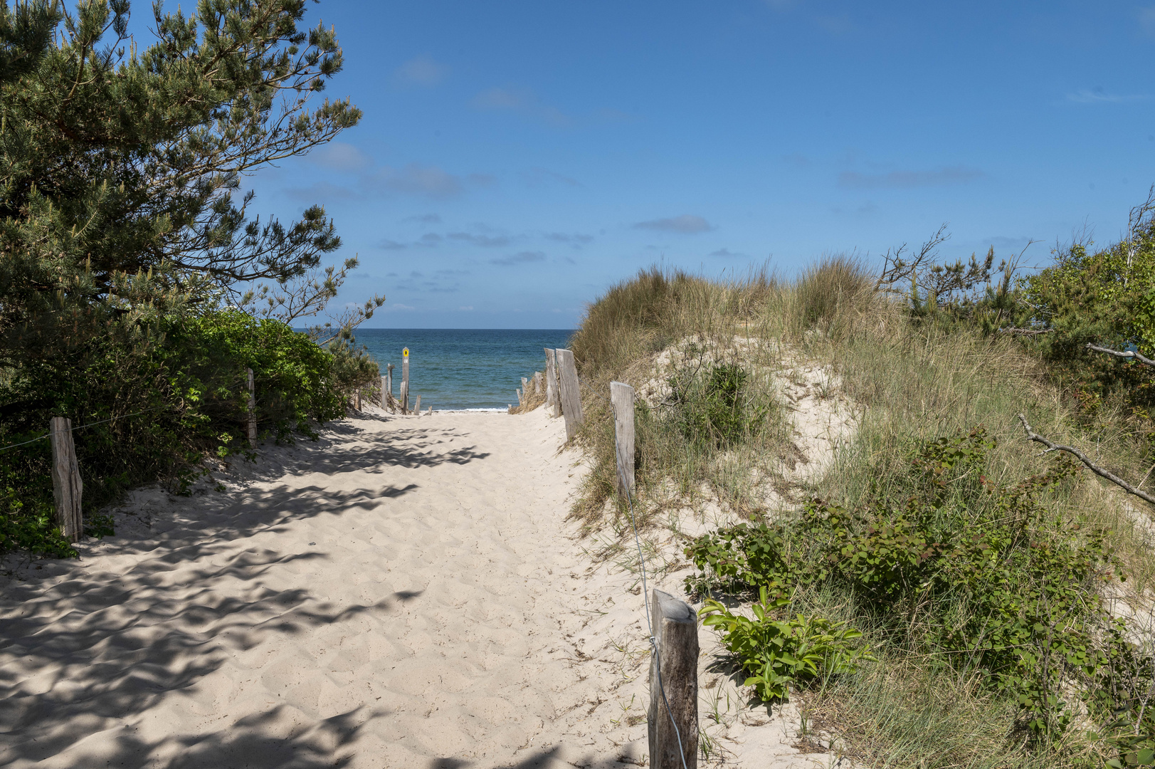 Der Weg zum Strand