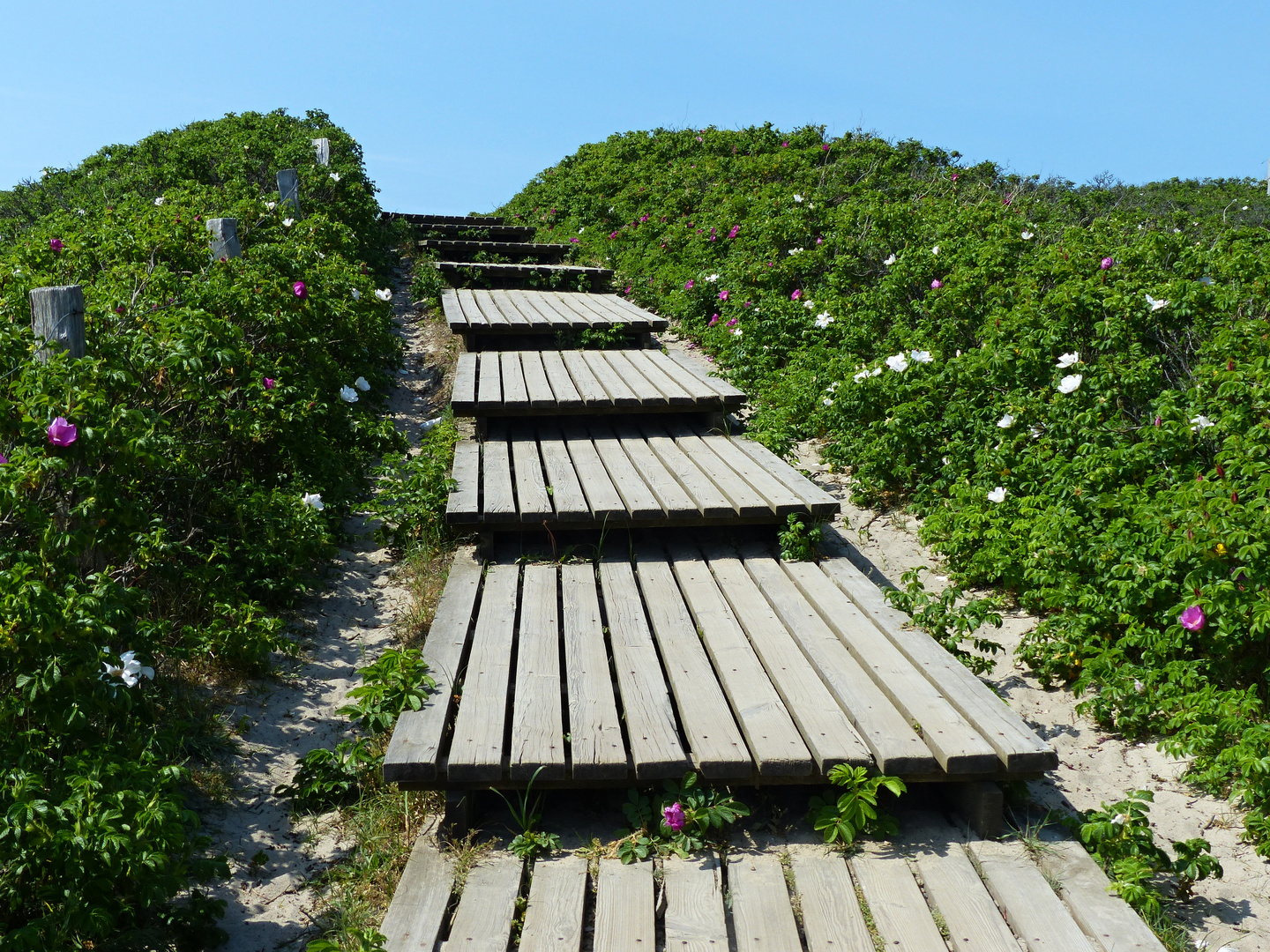 Der Weg zum Strand