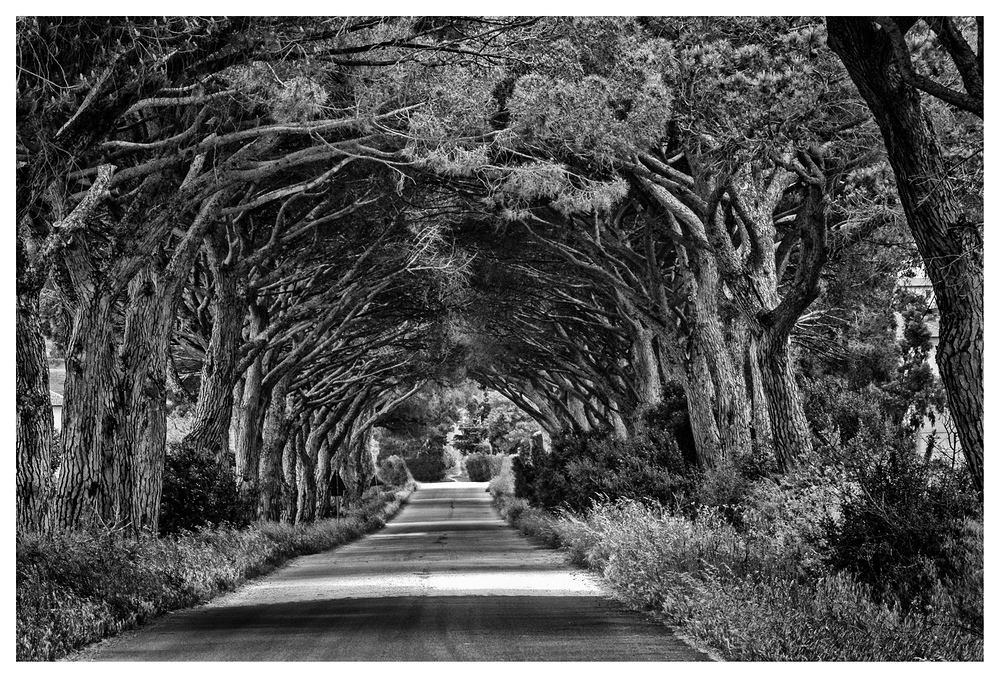 Der Weg zum Strand