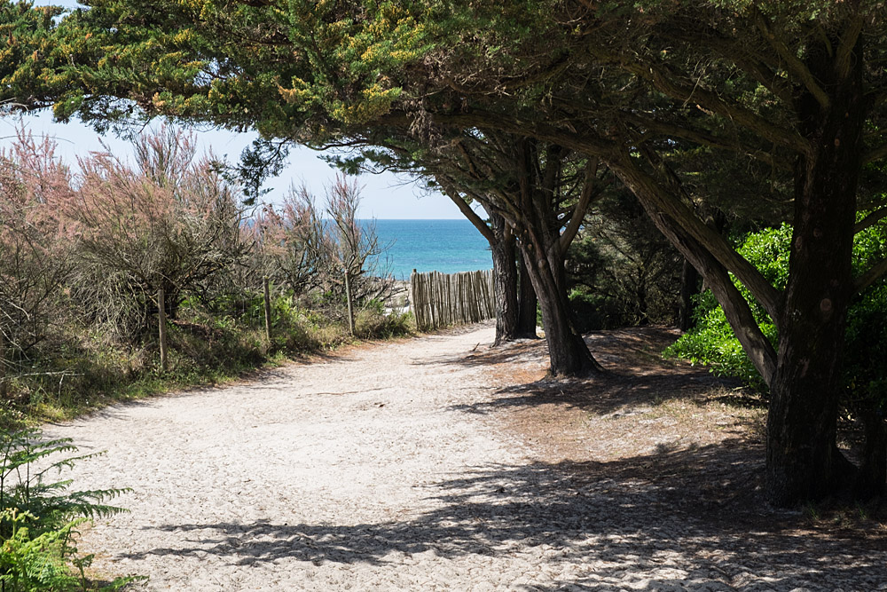 Der Weg zum Strand