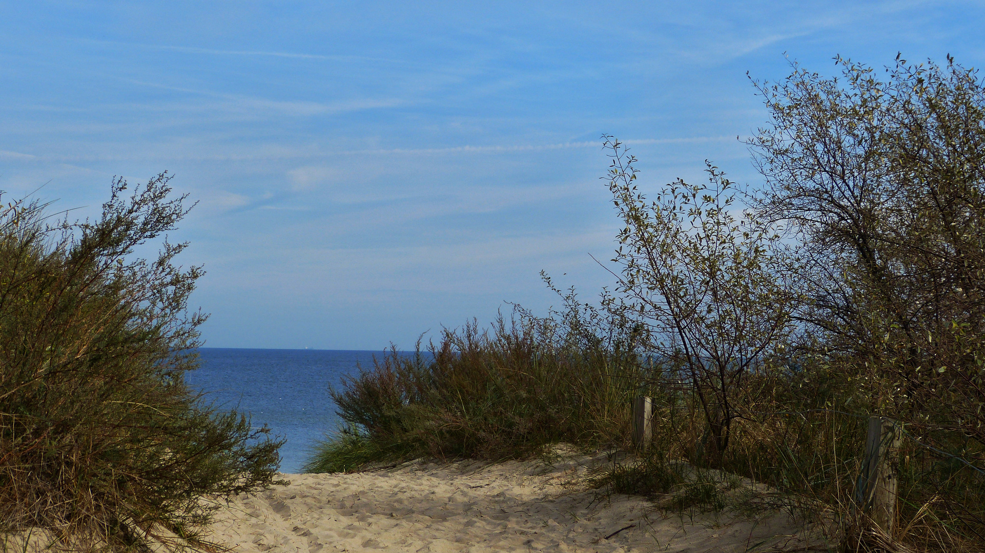 der Weg zum Strand in Zinnowitz  