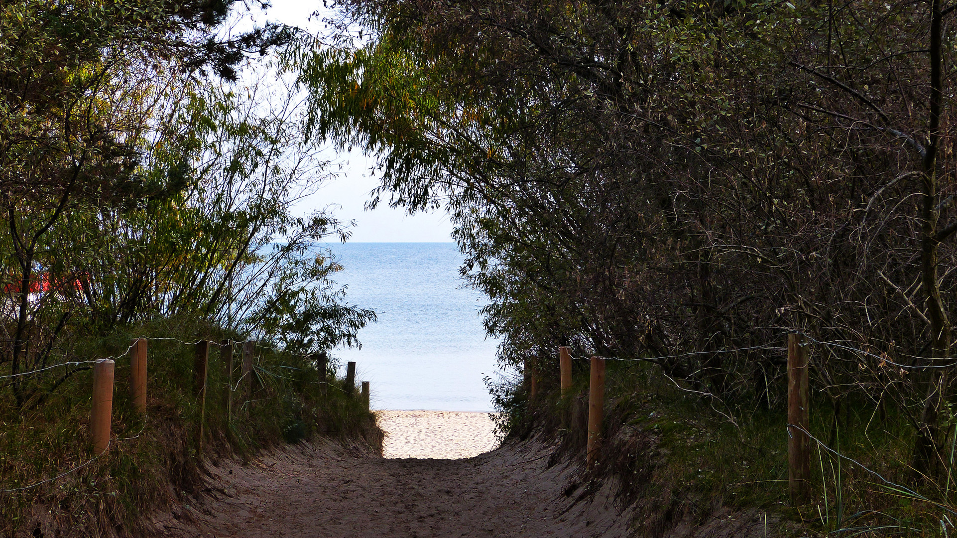 der Weg zum Strand in Zinnowitz  