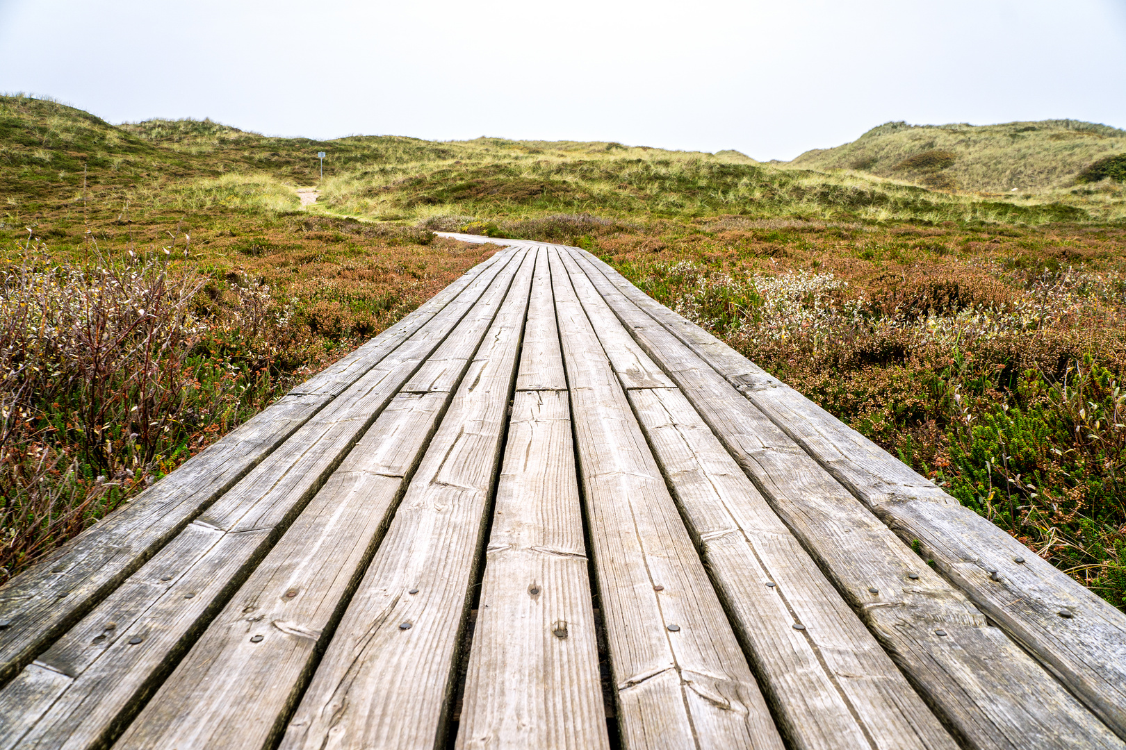 DER WEG ZUM STRAND - LIST AUF SYLT OKTOBER 2017