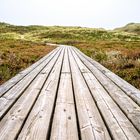 DER WEG ZUM STRAND - LIST AUF SYLT OKTOBER 2017