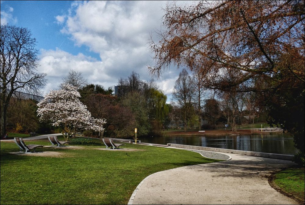 Der Weg zum Teich Zoopark Düsseldorf Foto & Bild natur, landschaft