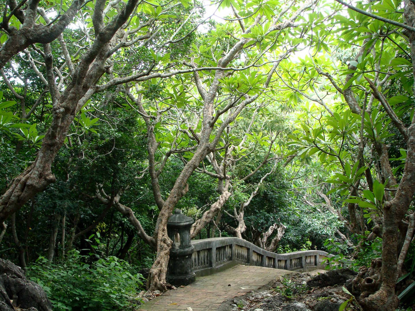 Der Weg zum Tempel