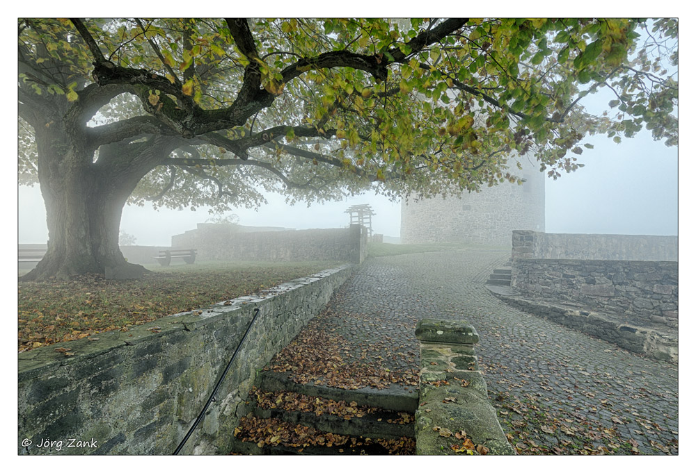 Der Weg zum Turm