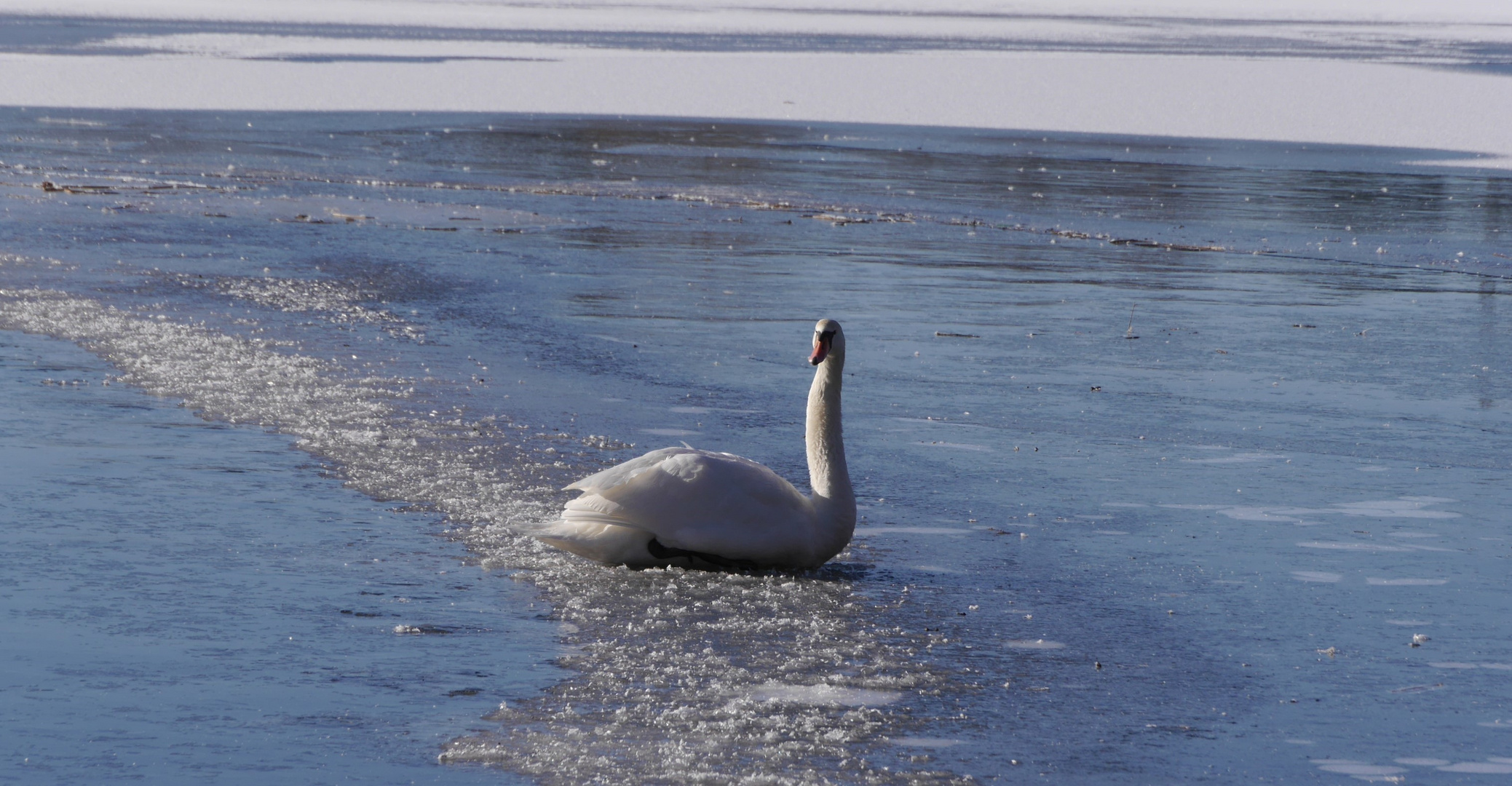 der Weg zum Wasserloch