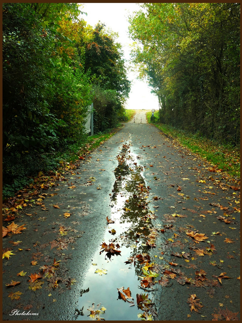 Der Weg zum Wasserwerk