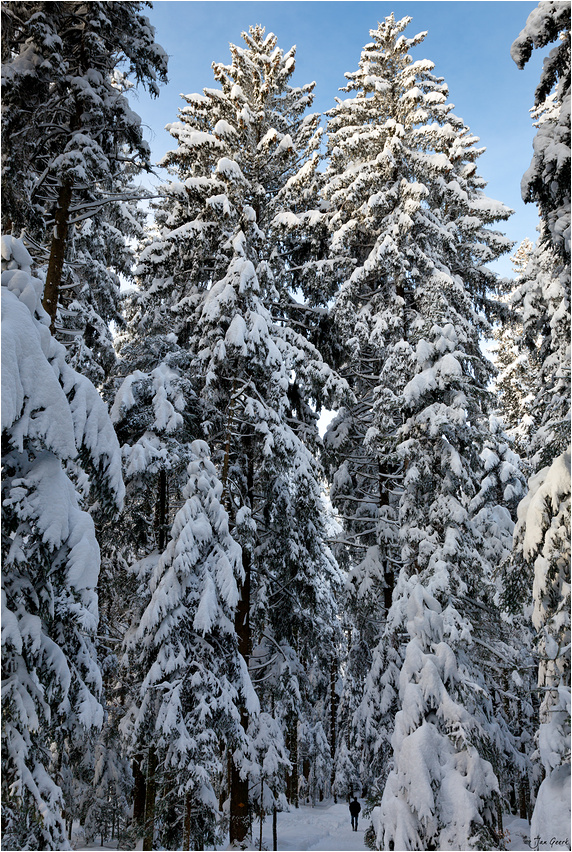 Der Weg zum Weihnachtsmann