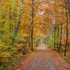 Der Weg zum Weststrand... 